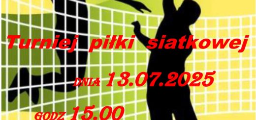 Turniej piłki siatkowej